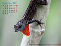 November in Calendar