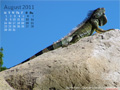 August in Calendar