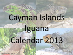 Picture of the front of the Free Download Calendar 2013 