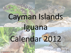 Free printable calendar 2012 - Cayman Islands