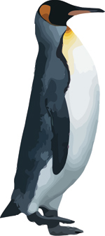 Free Penguin vector