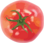 Free Tomato Vector