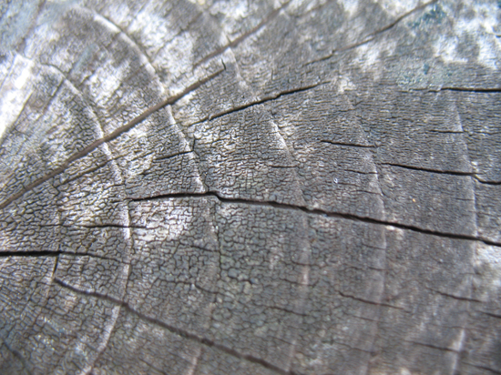 A Free Wood Grain Texture is provided on this page!