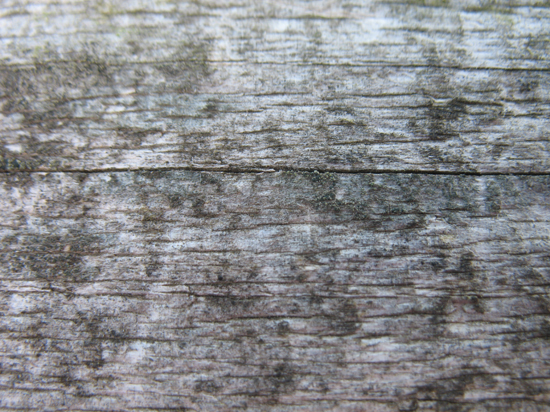A Free Wood Grain Texture is provided on this page!