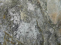 Free Beach Stones Texture