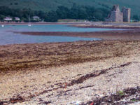lochranza bay