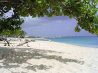 Pictures of cruise ships in george toen