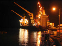 Pictures of cruise ships in george toen