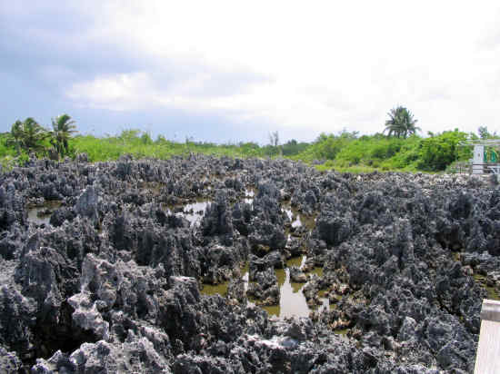 A picture of Hell, Grand Cayman. 