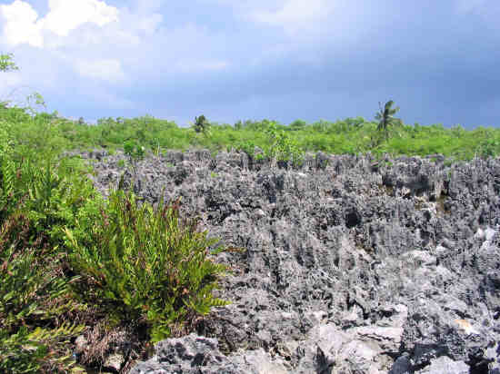 A picture of Hell, Grand Cayman. 