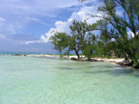 A view along the beach 