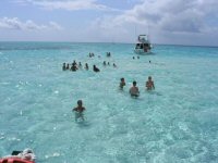 View of Stingray City
