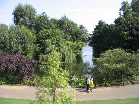 A picture of St James's Park from near Buckingham Palace.