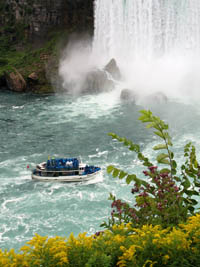 Pictures of the Maid of the Mist