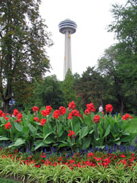  Skylon Tower Niagara Falls Ontario Picture