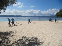 Beach Raking  Picture