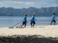 Beach Raking  Picture