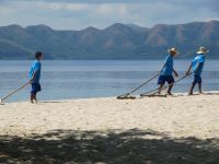 Beach Raking  Picture