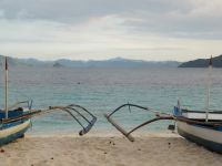 Even More Catamarans  Picture
