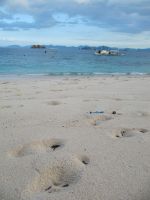 Footsteps In Sand Portrait  Picture