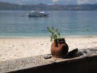 Karen Claire Dive Boat Plantpot Landscape  Picture