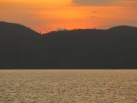 Sunset Closeup  Picture