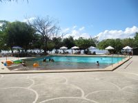 Swimming Pool  Picture