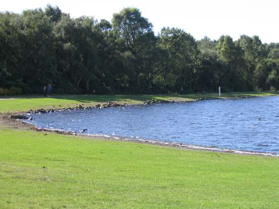 The East end of drumpellier loch.