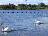 Drumpellier Country Park in Glasgow, Scotland