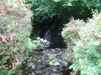 waterfall wide dunvagan castle gardens scotland picture
