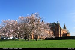 Free Kelvingrove Art Gallery Wallpaper